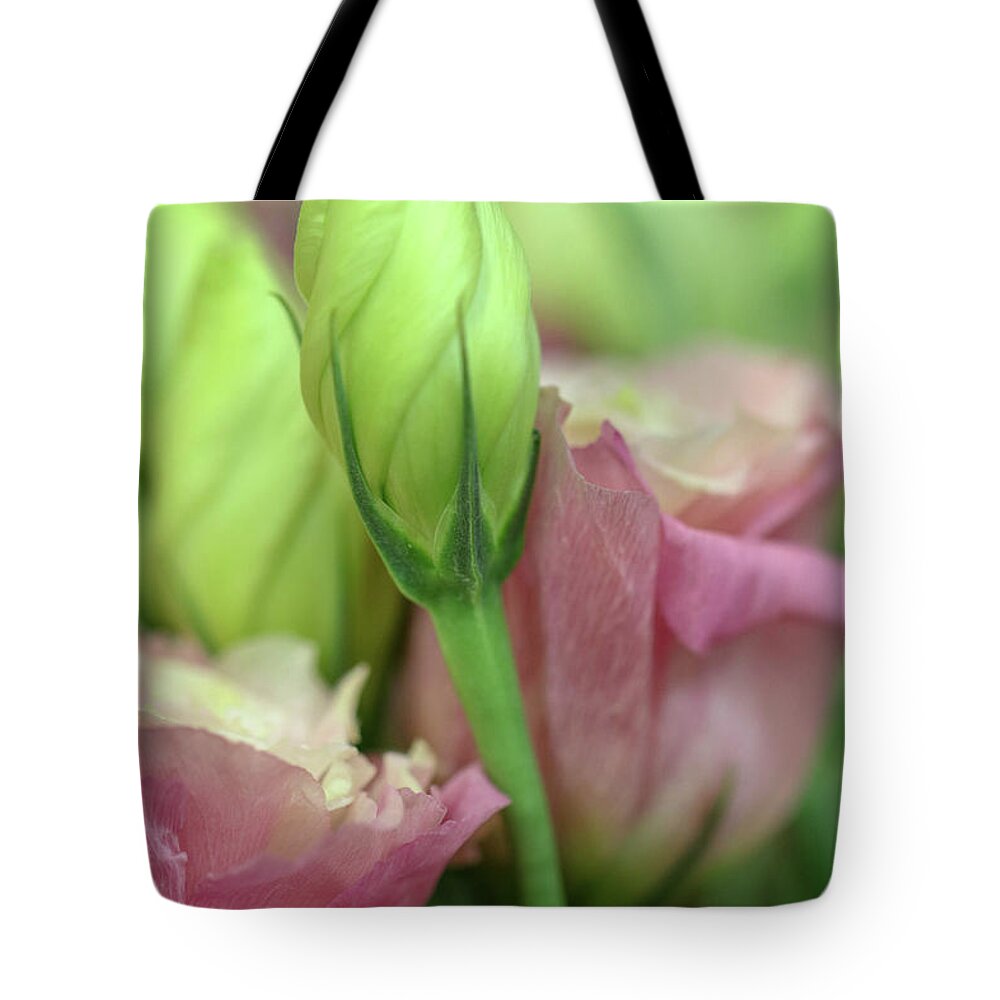 Flower Tote Bag featuring the photograph Buds and Blooms by Mary Anne Delgado