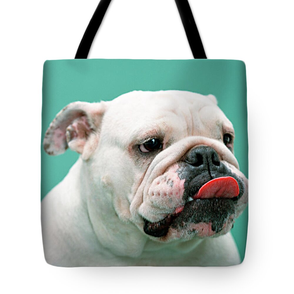 Pets Tote Bag featuring the photograph Bulldog by Imagenavi