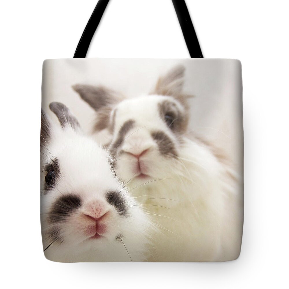 Pets Tote Bag featuring the photograph Bunny Pals by Jenni Holma