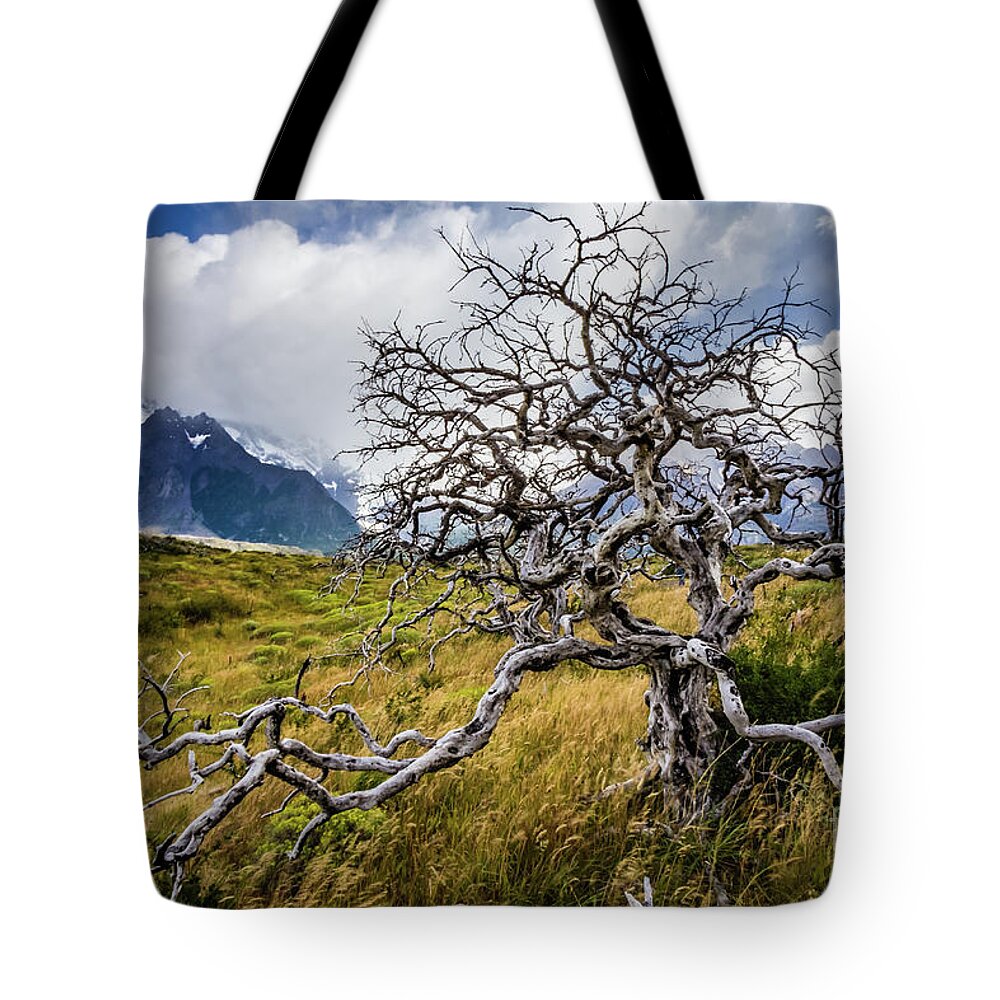 Tree Tote Bag featuring the photograph Burnt tree, Torres del Paine, Chile by Lyl Dil Creations