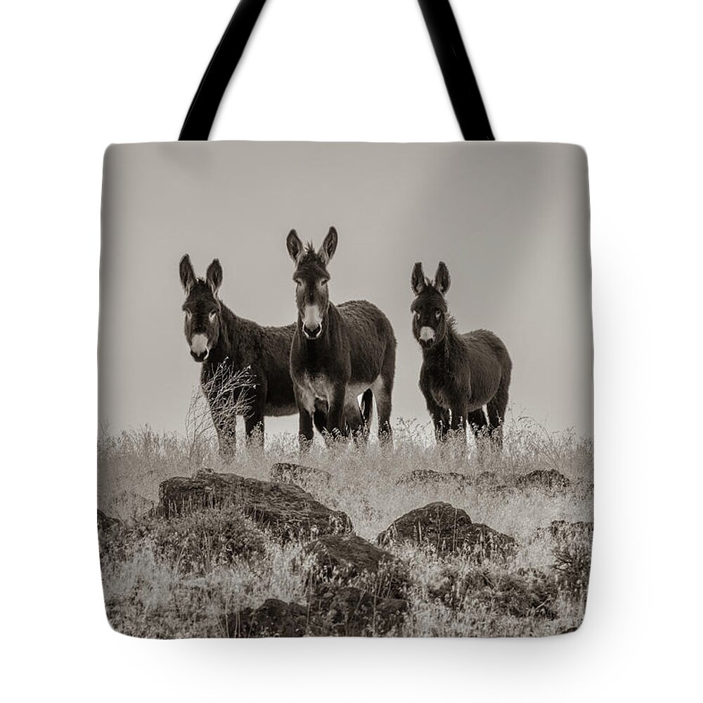 Wild Burro Tote Bag featuring the photograph Burros in Sepia by Randy Robbins