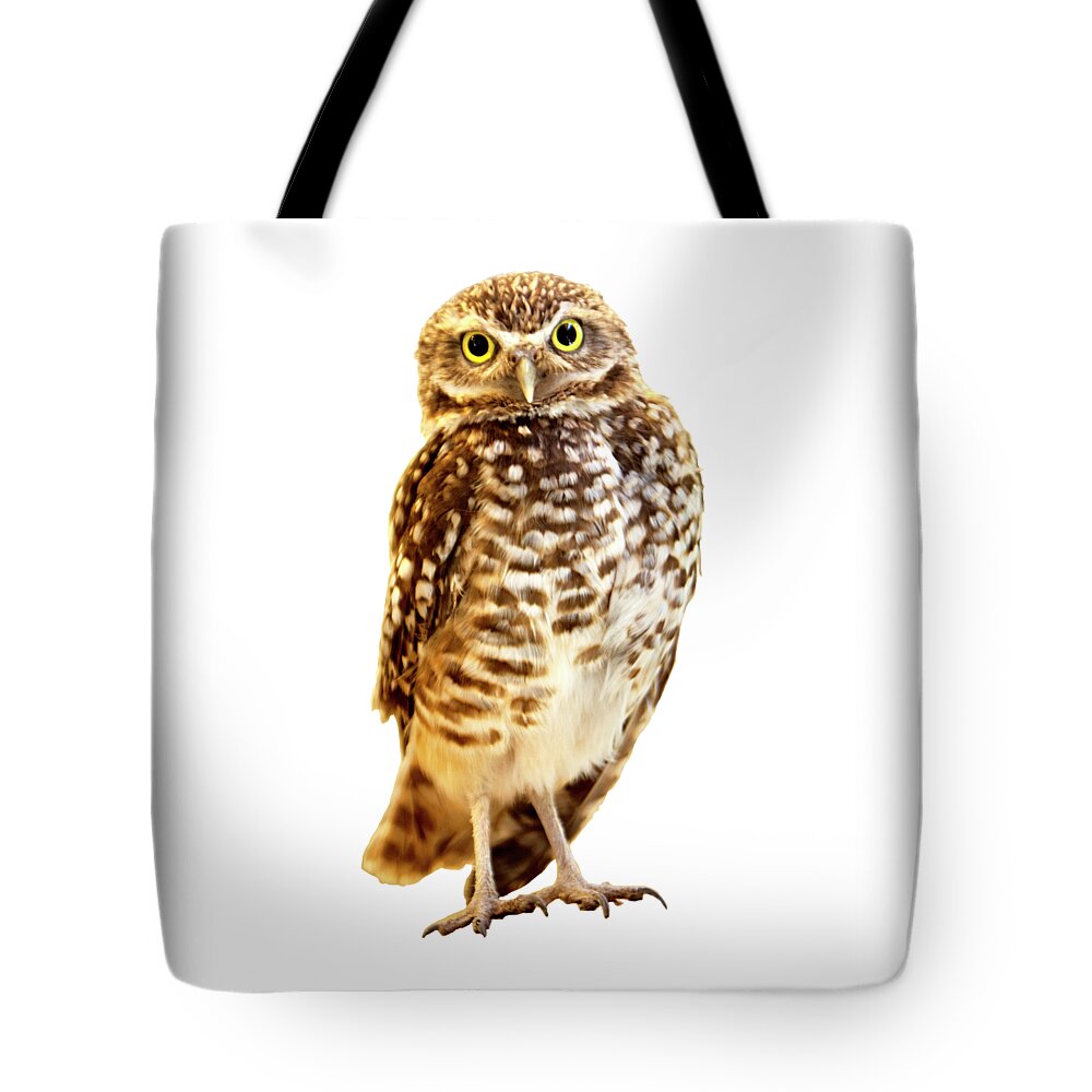  TOMPPY Owl under the Blue Sky Women Tote Bag Large