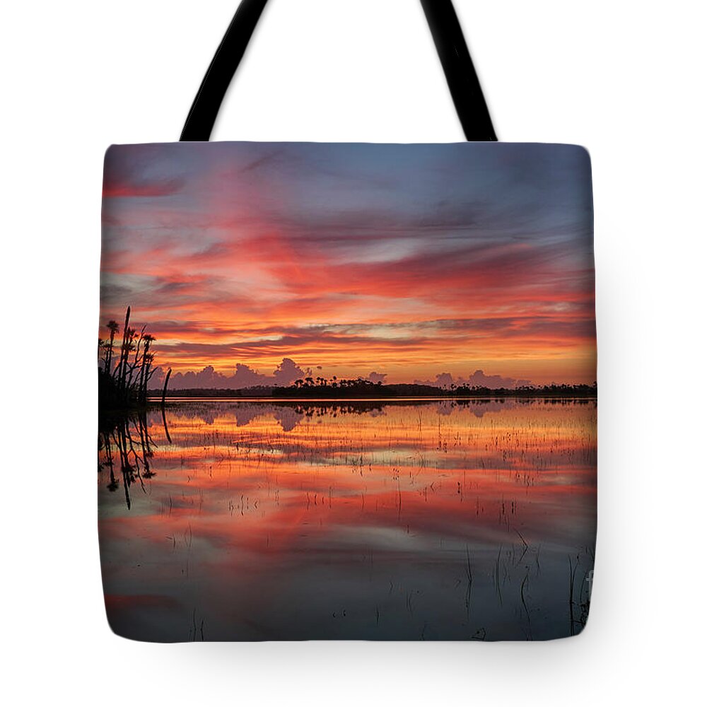 Usa Tote Bag featuring the photograph Burst of Color by Brian Kamprath