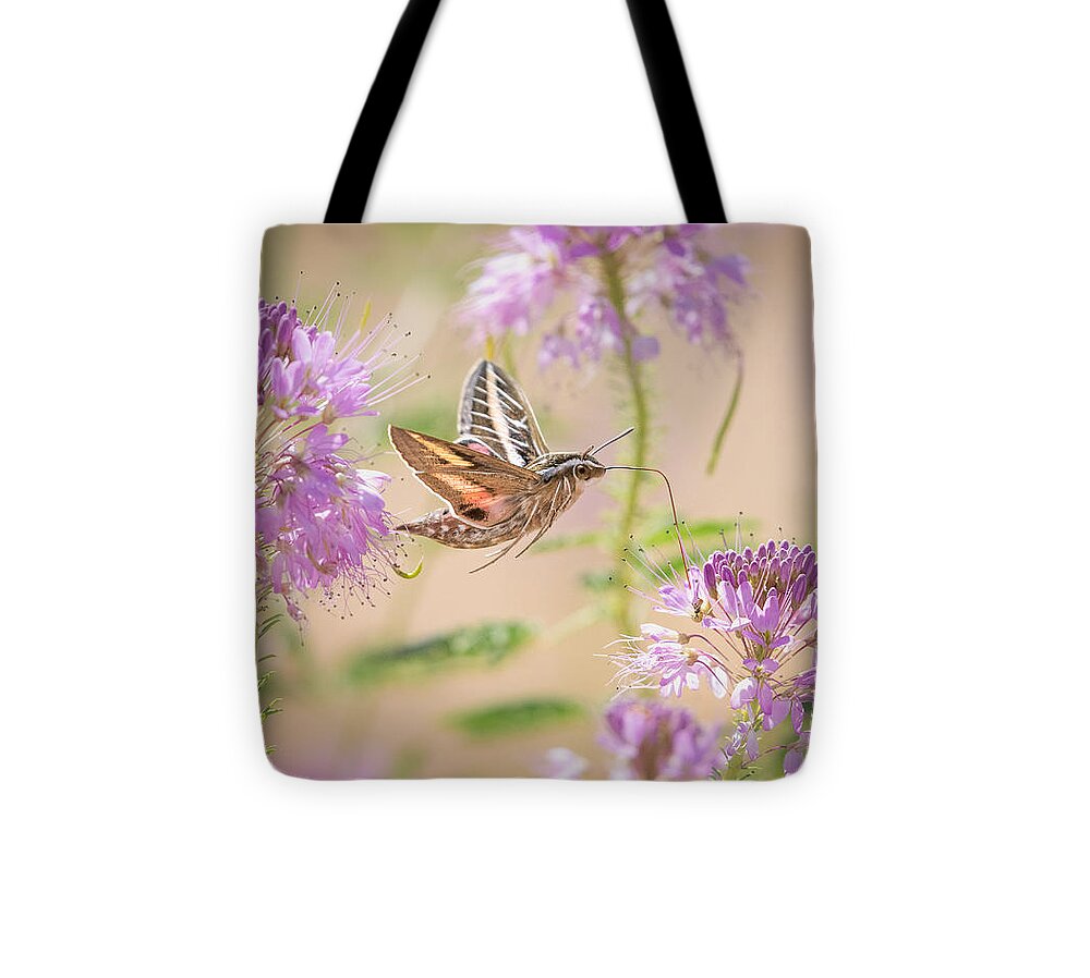 Moth Tote Bag featuring the photograph Busy Hummingbird Moth by Lisa Manifold