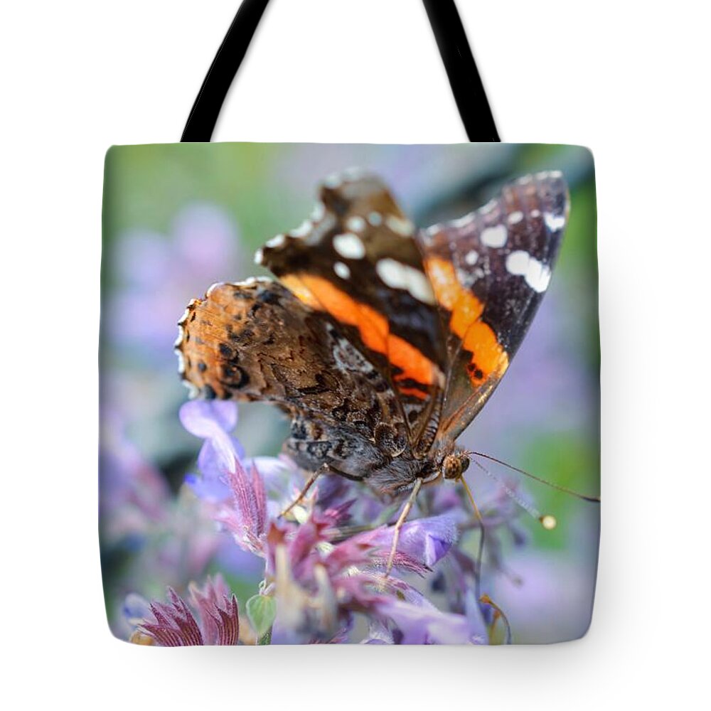 Butterfly Tote Bag featuring the photograph Butterflies Are Free by Shannon Kelly