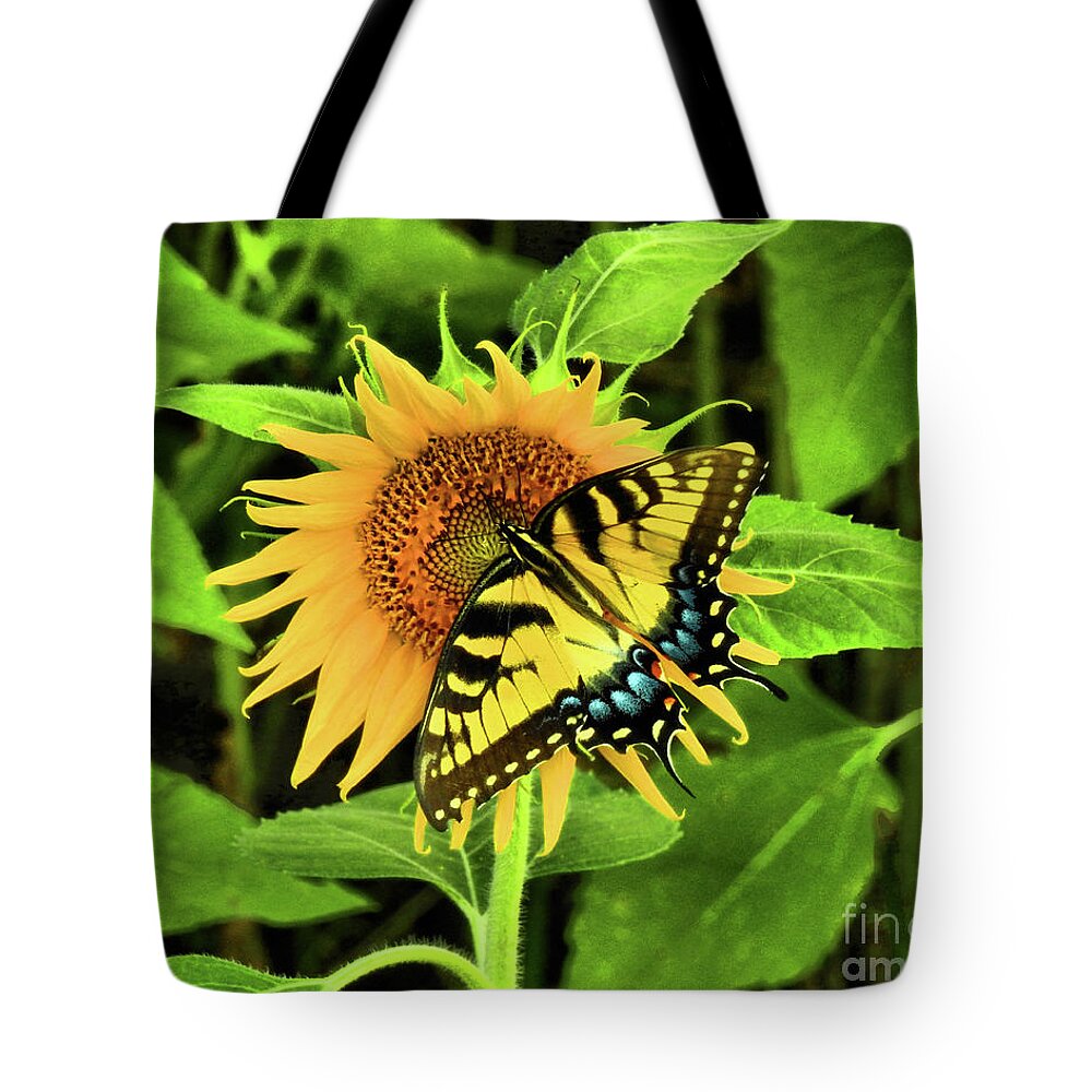 Swallowtail Butterflies Tote Bag featuring the photograph Butterflies by Scott Cameron