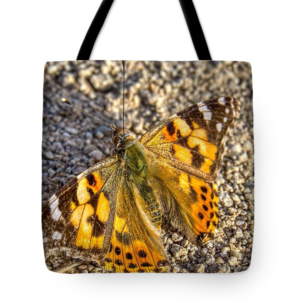 Sunsets Tote Bag featuring the photograph Butterfly Beauty by Anthony Giammarino