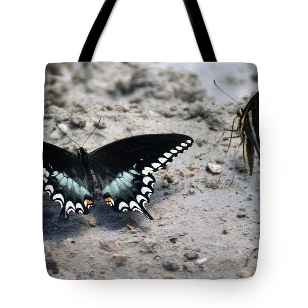 Florida Tote Bag featuring the photograph Butterfly Kisses by Lindsey Floyd