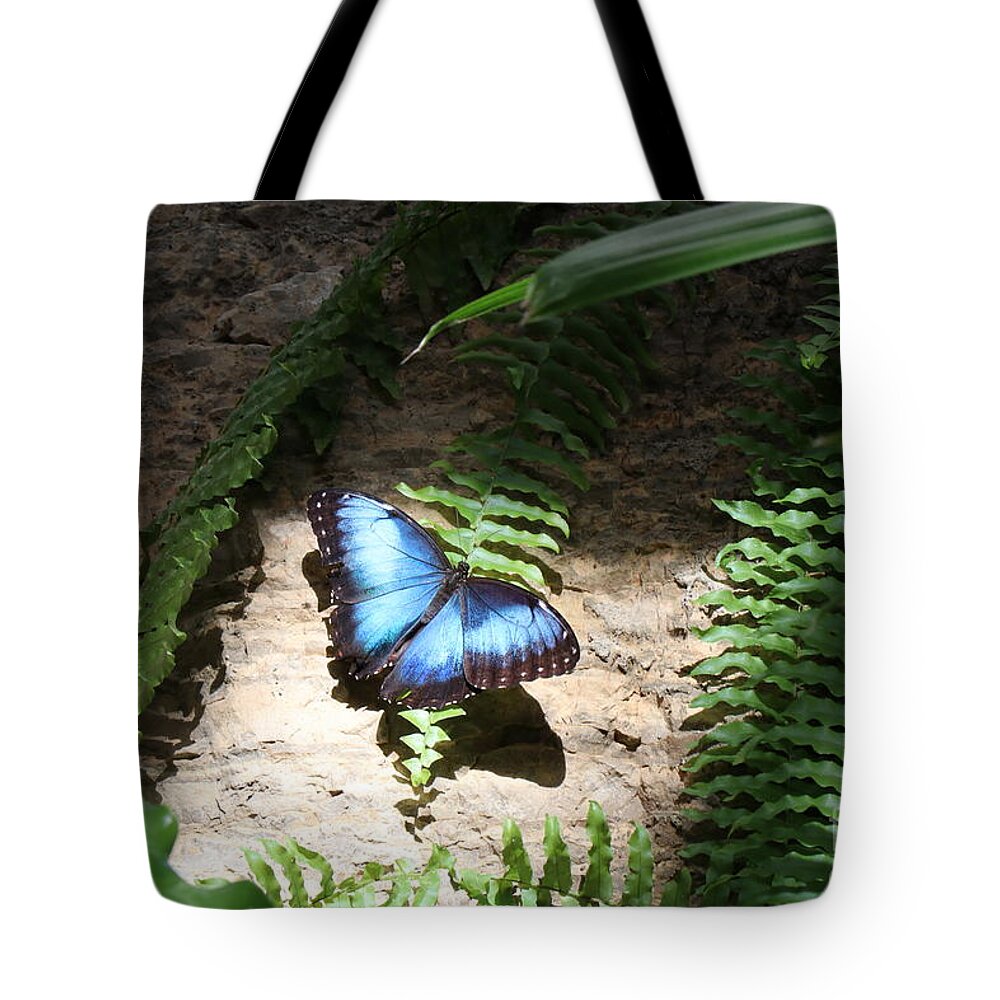 Monarch Tote Bag featuring the photograph Butterfly no 14 by Dwight Cook