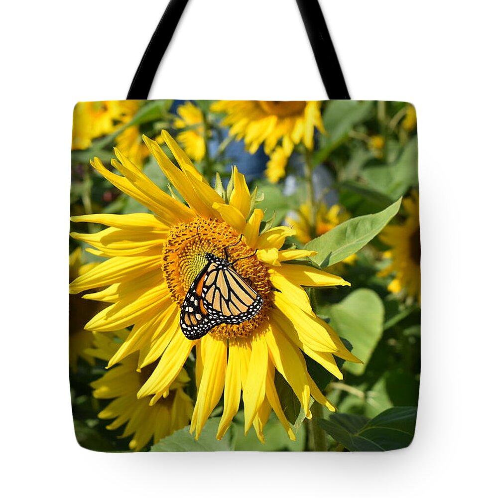 Butterfly Tote Bag featuring the photograph Sunflower Butterfly by Rose Guinther