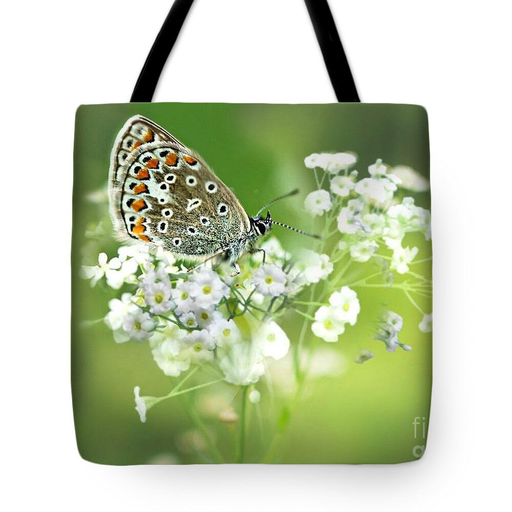Butterfly Tote Bag featuring the mixed media Butterfly on Babybreath by Morag Bates