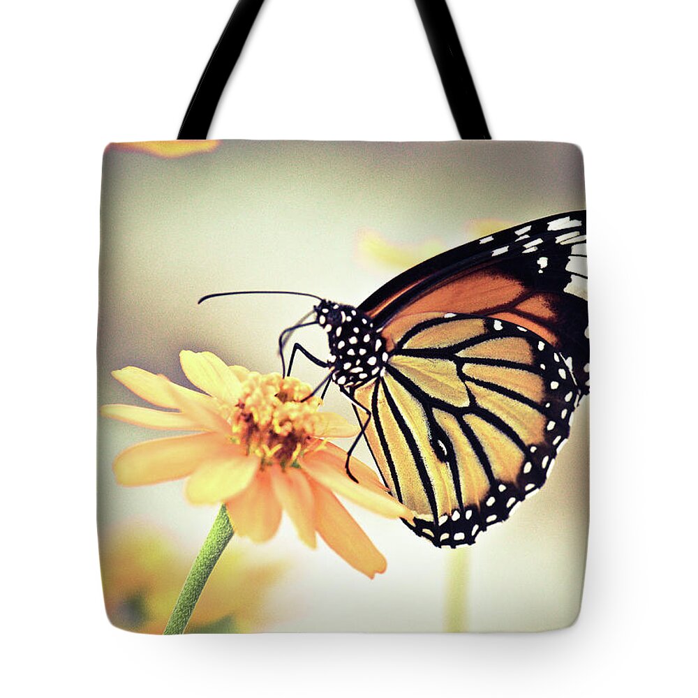 Insect Tote Bag featuring the photograph Butterfly On Flower by Sam Gellman Photography