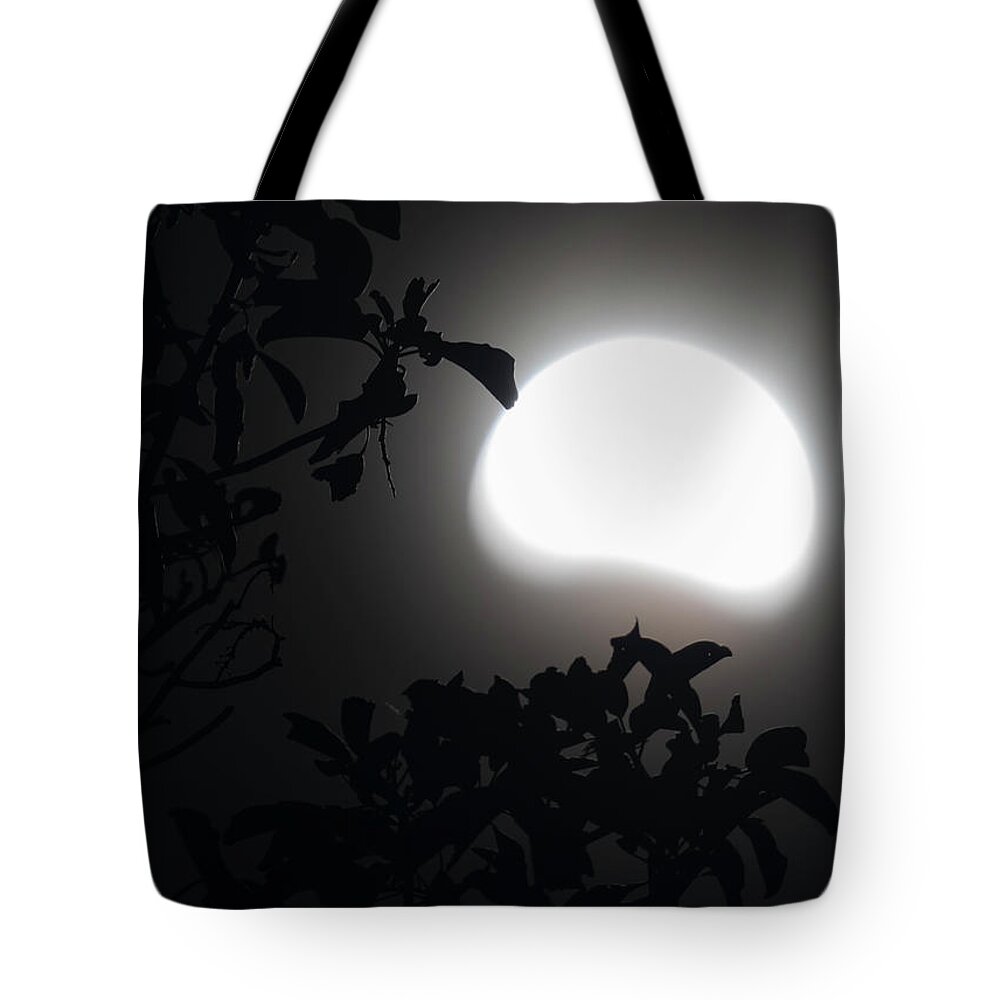 Arbutus Tote Bag featuring the photograph By The Light Of A Partial Moon by Randy Hall