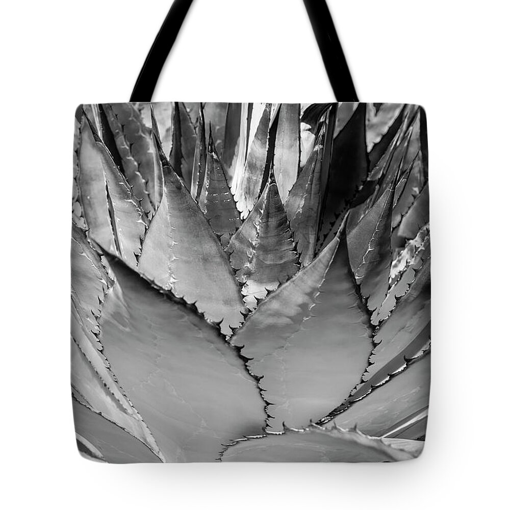© 2015 Lou Novick All Rights Reserved Tote Bag featuring the photograph Cactus 3 by Lou Novick