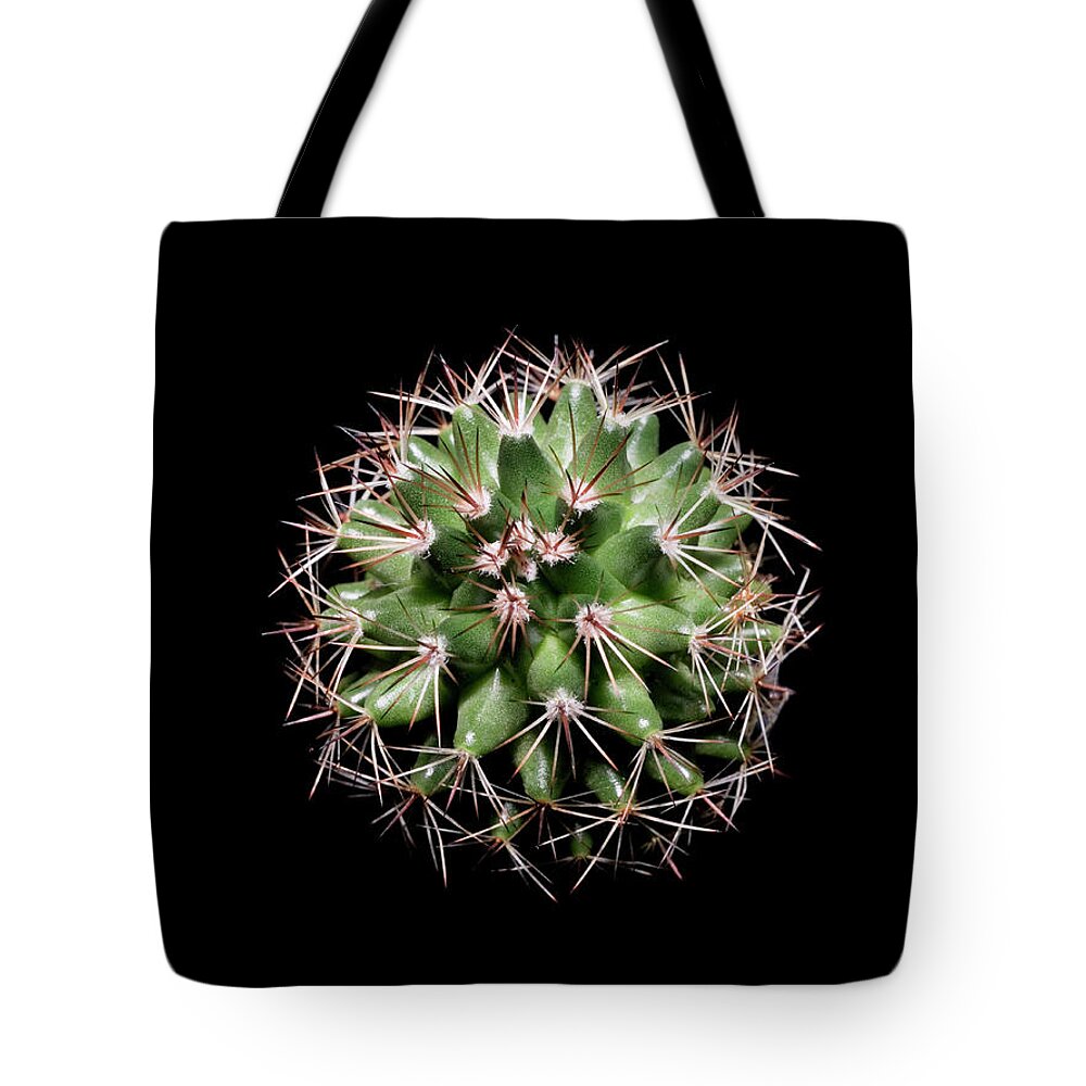 Risk Tote Bag featuring the photograph Cactus Against Black Background by Mike Hill