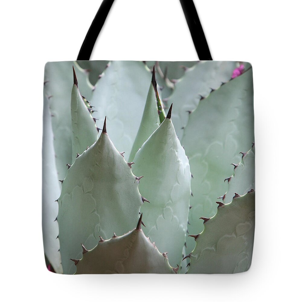 Agave Tote Bag featuring the photograph Cactus by Itsabreeze Photography