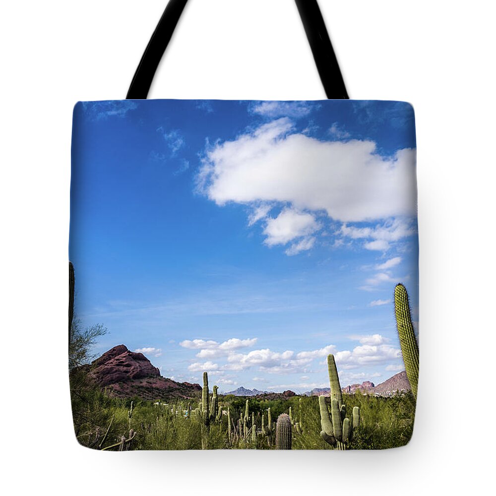 Cactus Tote Bag featuring the photograph Cactus Landscape Under Blue Sky by Bill Carson Photography