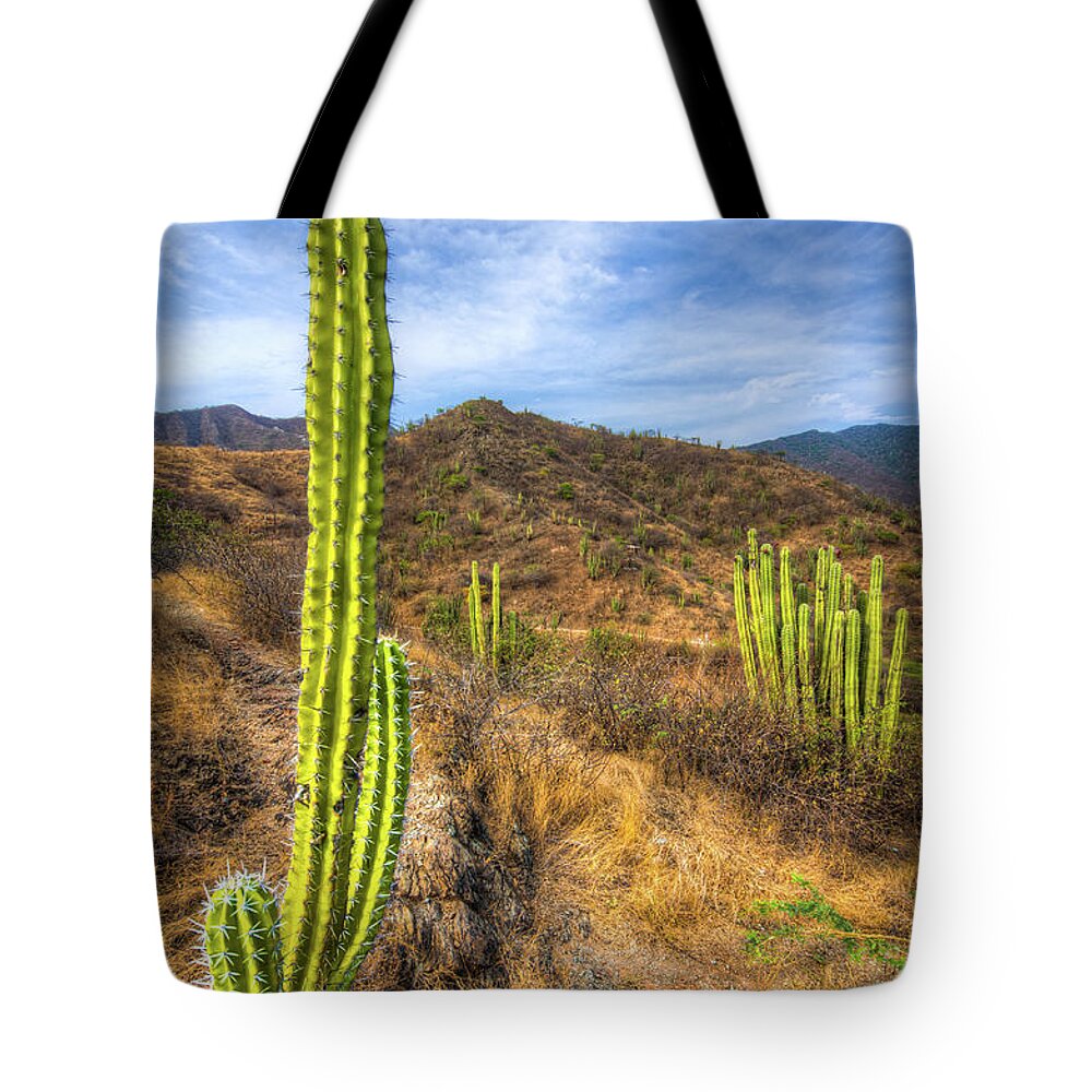 Grass Tote Bag featuring the photograph Cactus Mountain by Alejandro Tejada