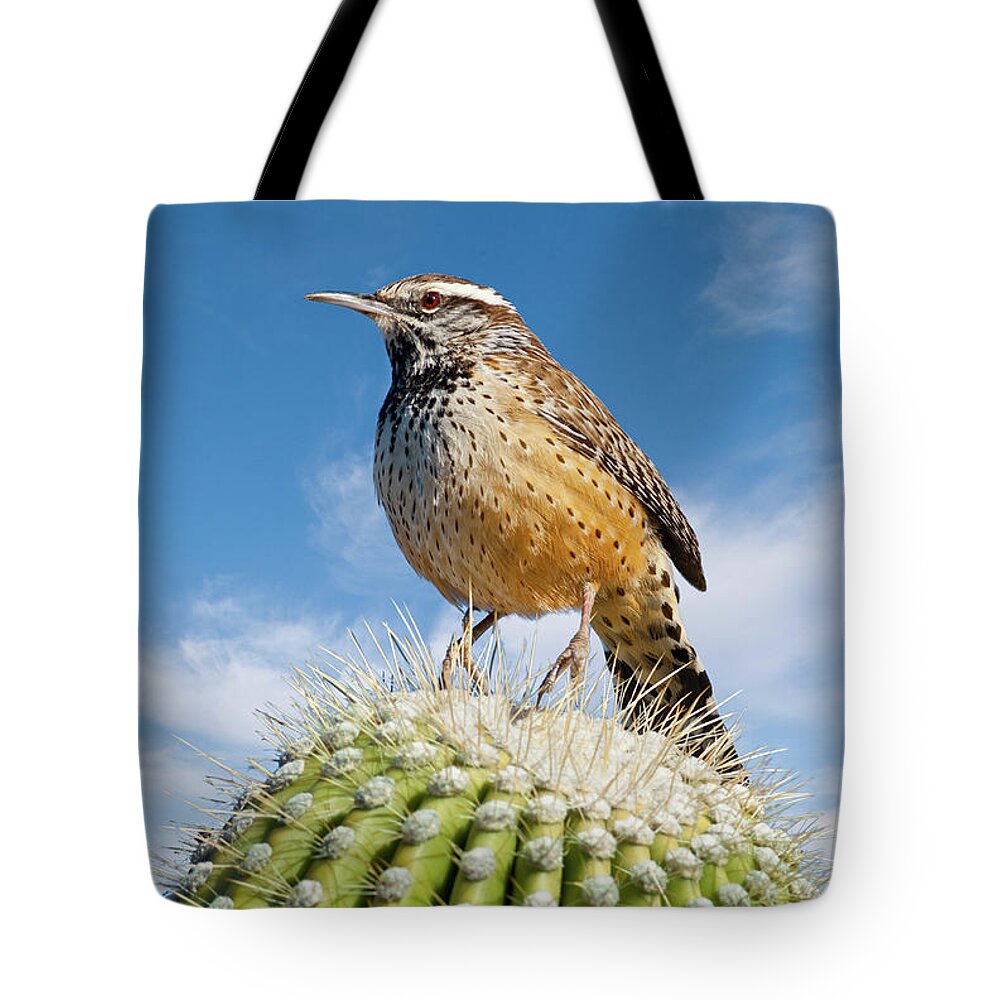 Adult Tote Bag featuring the photograph Cactus Wren on a Saguaro Cactus by Jeff Goulden