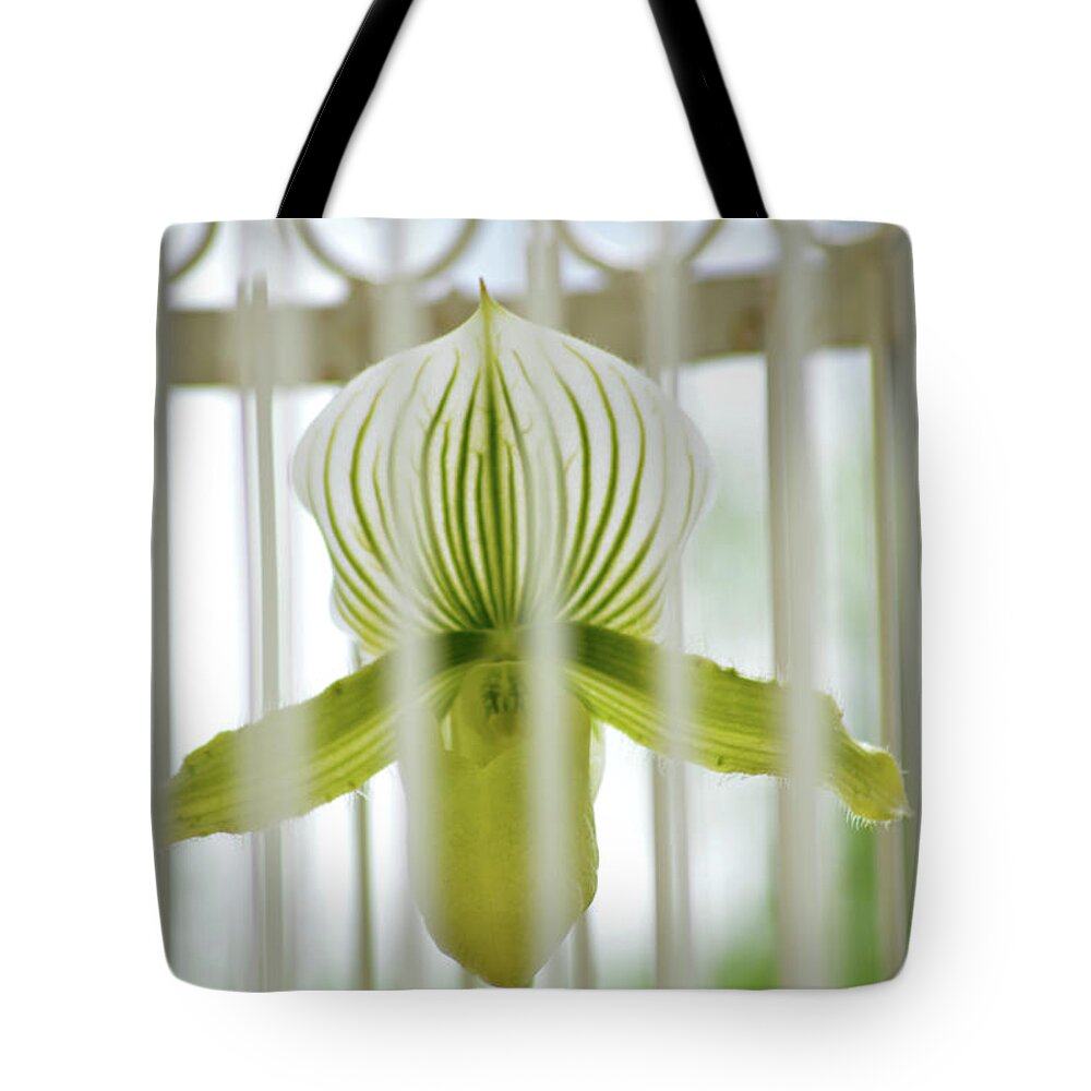 Flower Tote Bag featuring the photograph Caged Beauty by Lisa Burbach