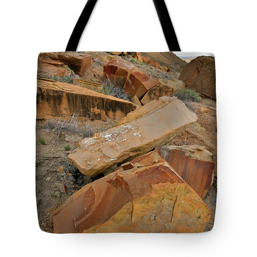 Scenic Byway 24 Tote Bags