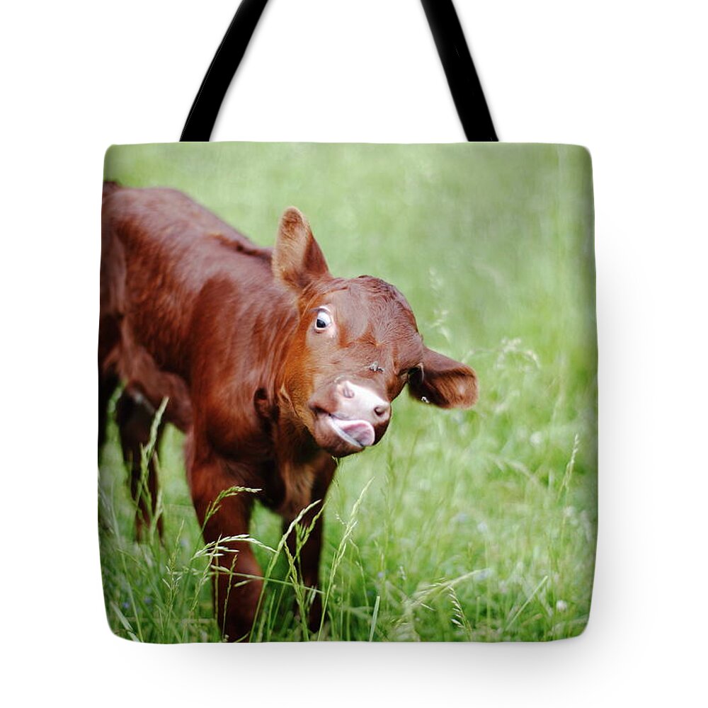 Grass Tote Bag featuring the photograph Calf by Jimss