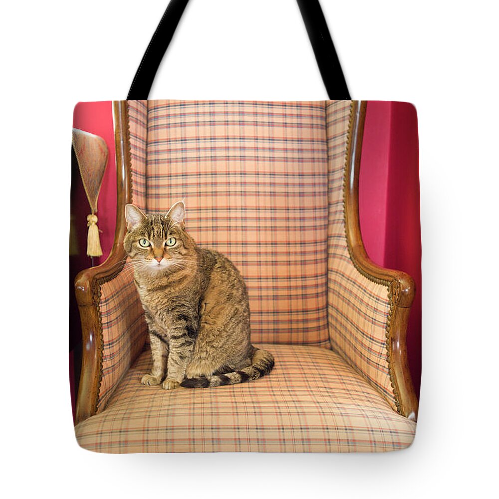 Calico Tote Bag featuring the photograph Calico cat on plaid chair by David L Moore