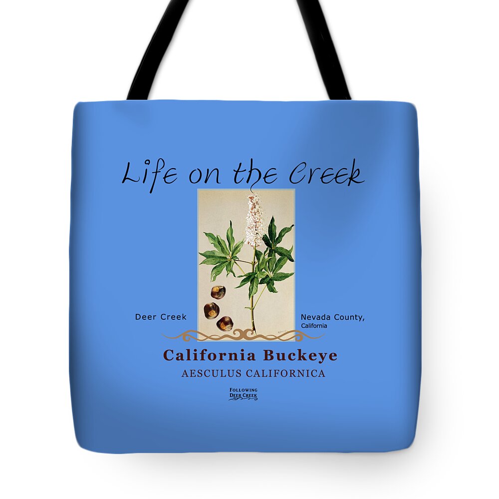 Aesculus Californica Tote Bag featuring the digital art California Buckeye by Lisa Redfern