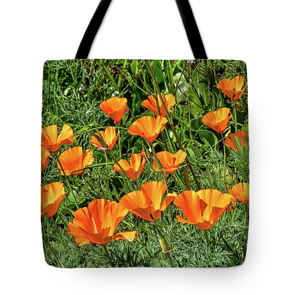 Linda Brody Tote Bag featuring the photograph California Poppies 4a by Linda Brody