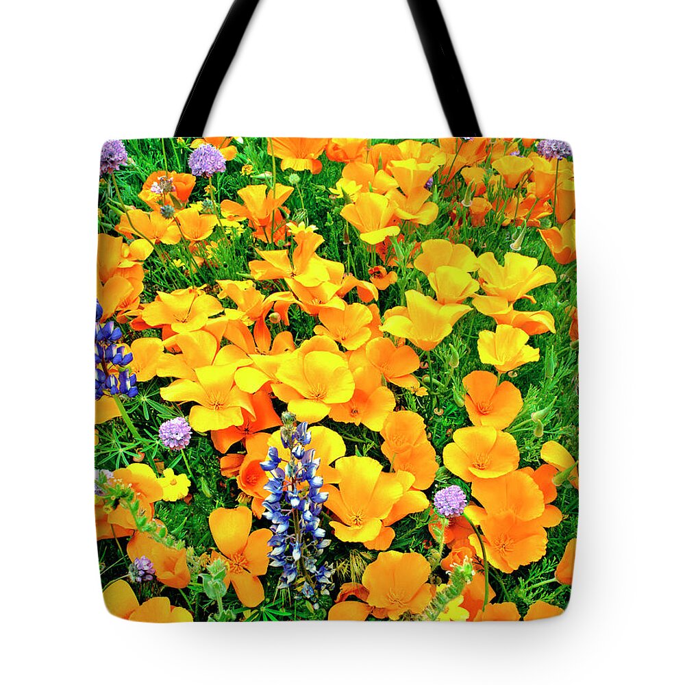 North America Tote Bag featuring the photograph California Poppies and Betham Lupines Southern California by Dave Welling