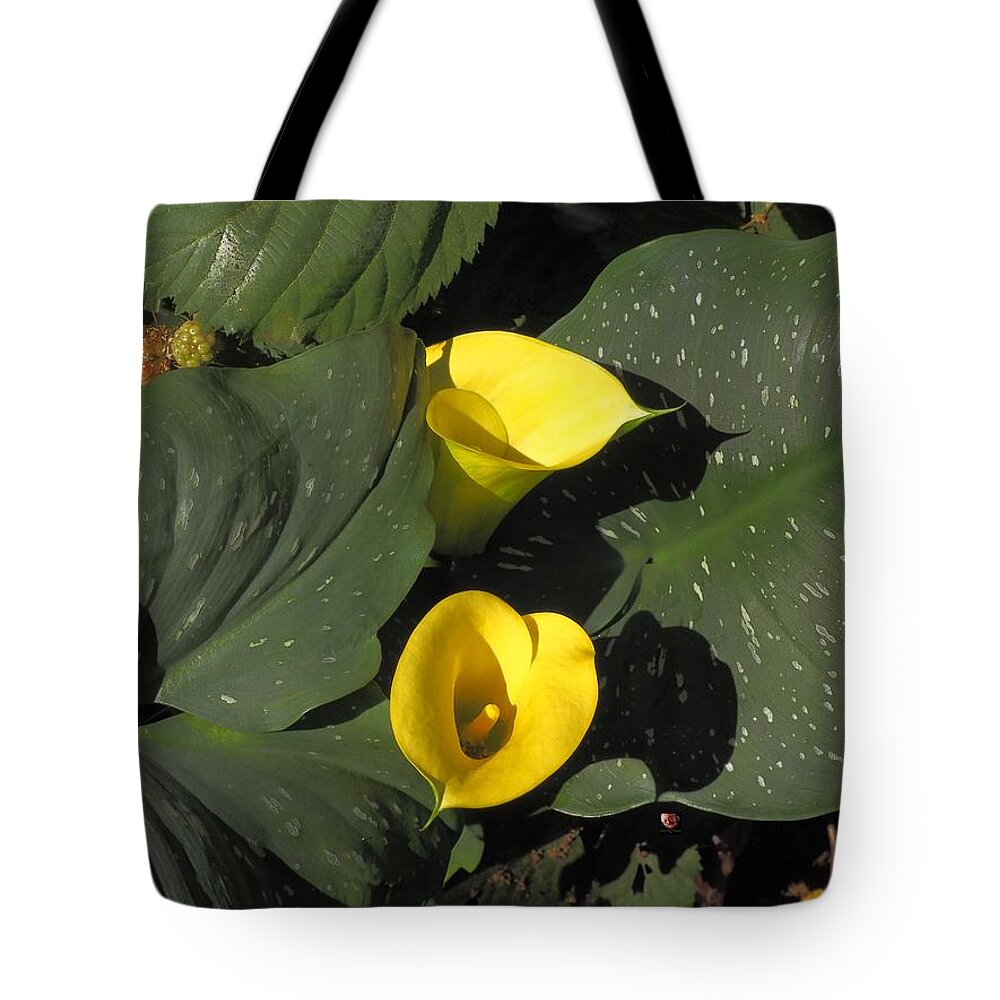 Botanical Tote Bag featuring the photograph Calla Lily Berries by Richard Thomas