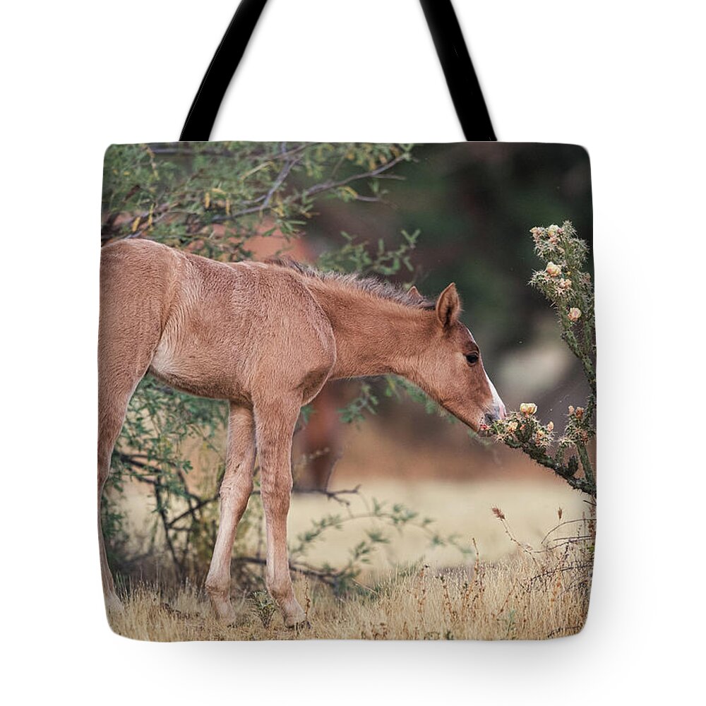 Foal Tote Bag featuring the photograph Can I Eat This? by Shannon Hastings