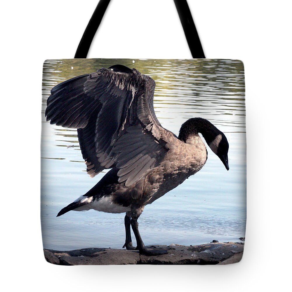 Pond Tote Bag featuring the mixed media Canadian Goose by Gravityx9 Designs