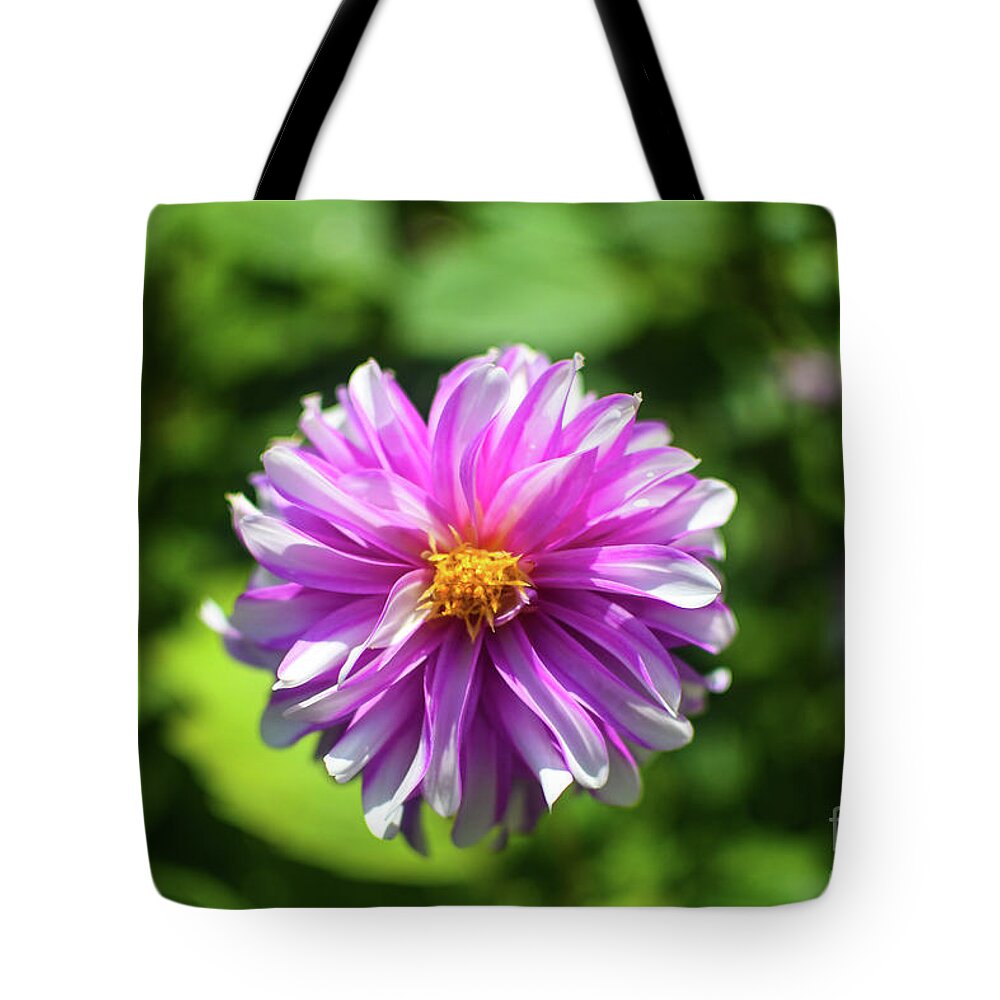 Flower Tote Bag featuring the photograph Candy Floss Flower by Abigail Diane Photography