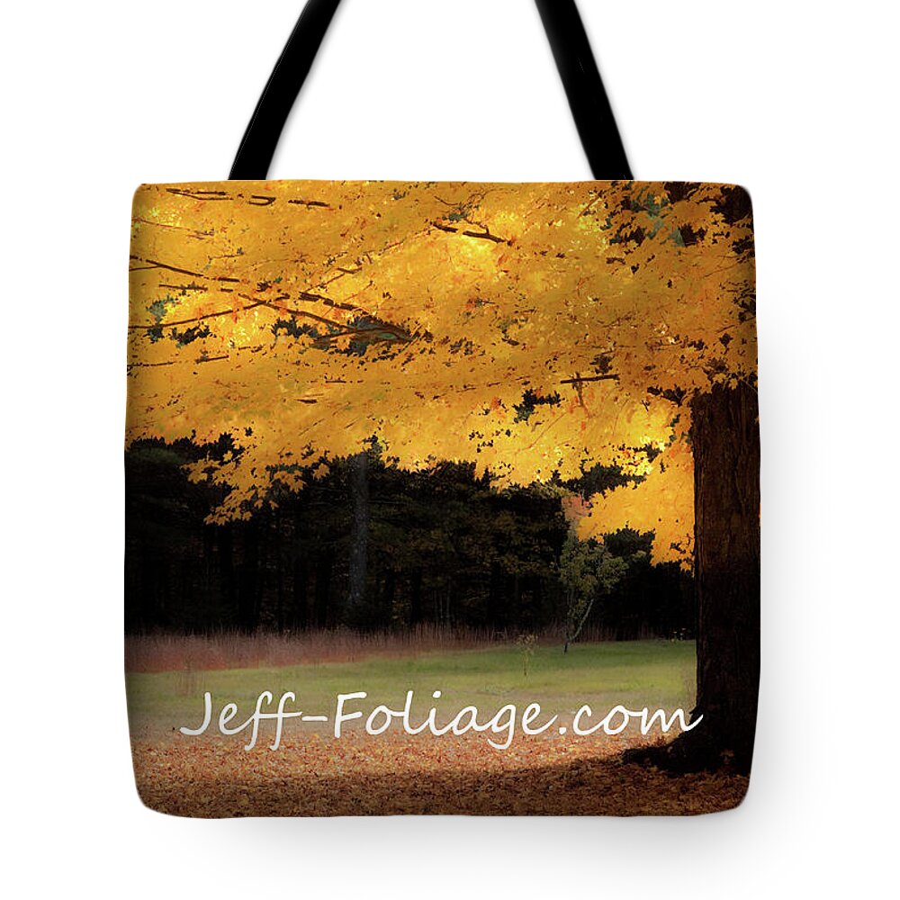 Autumn Fall Colors Tote Bag featuring the photograph Canopy of Gold fall Colors by Jeff Folger