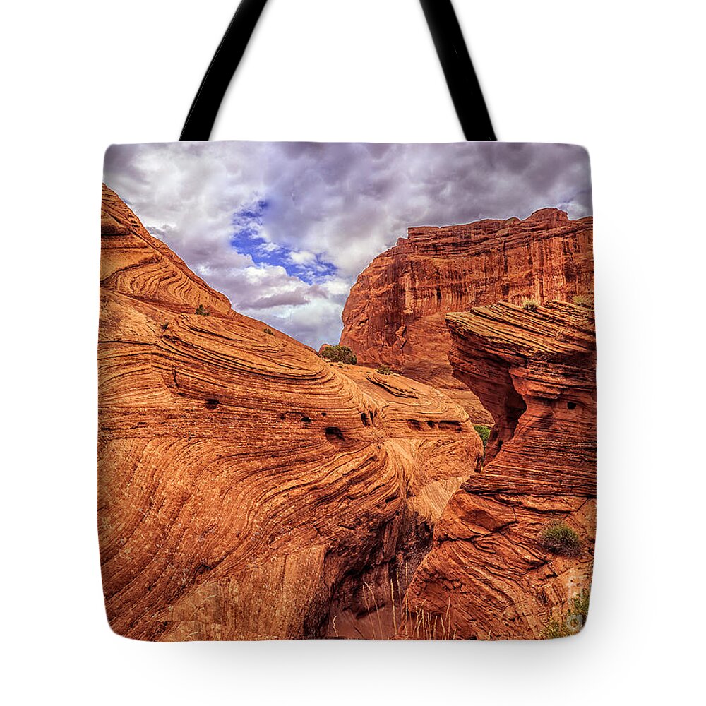 Canyon De Chelly Tote Bag featuring the photograph Canyon Waves by Jaime Miller