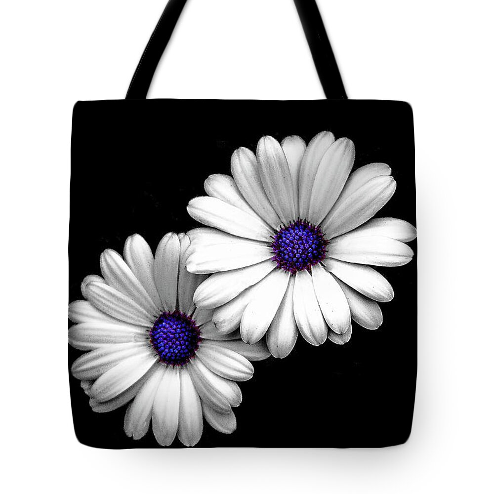 Daisy Tote Bag featuring the photograph Cape Daisy by Joseph Noonan