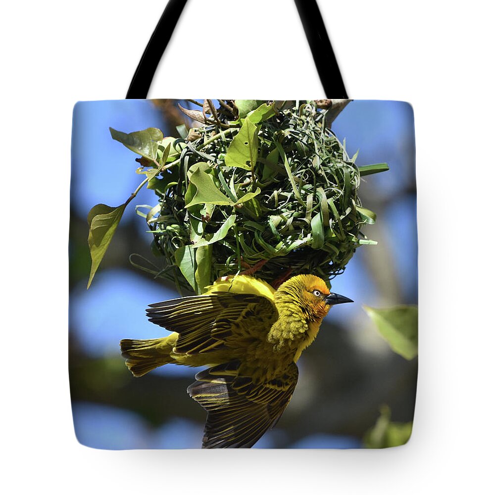 Weaver Tote Bag featuring the photograph Cape Weaver and Nest by Ben Foster