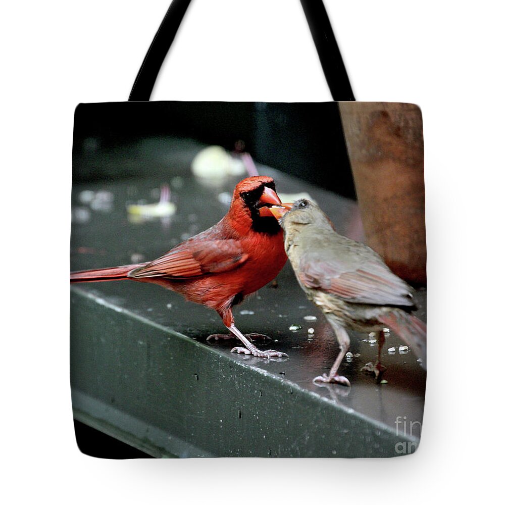 Female Northern Cardinal Tote Bag featuring the photograph Cardinal Love 2 by Patricia Youngquist