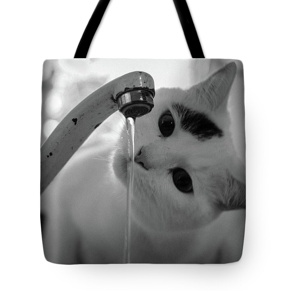 Animal Themes Tote Bag featuring the photograph Cat Drinking Water From Faucet by A*k