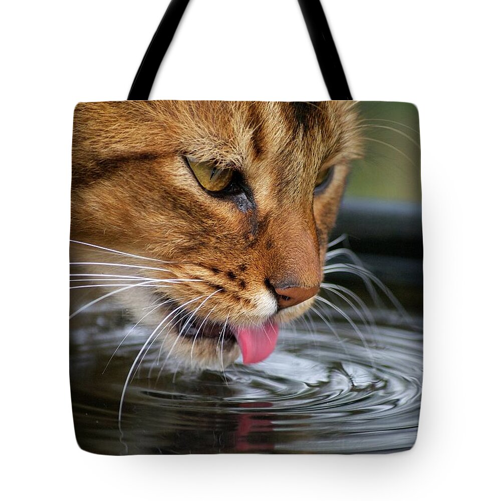 Water's Edge Tote Bag featuring the photograph Cat Drinking Water by Lisa Beattie