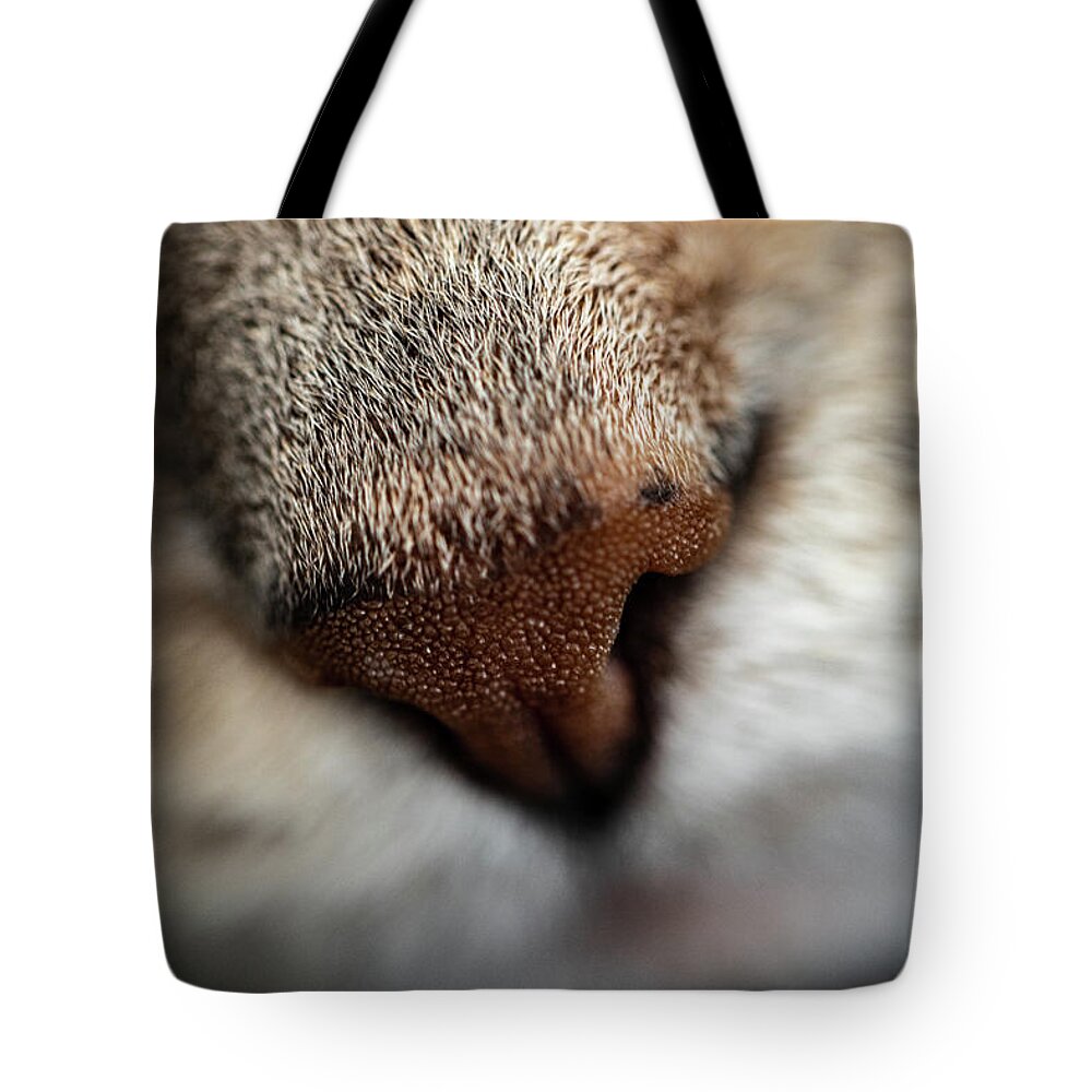 Animals Tote Bag featuring the photograph Macro Photography - Cat by Amelia Pearn