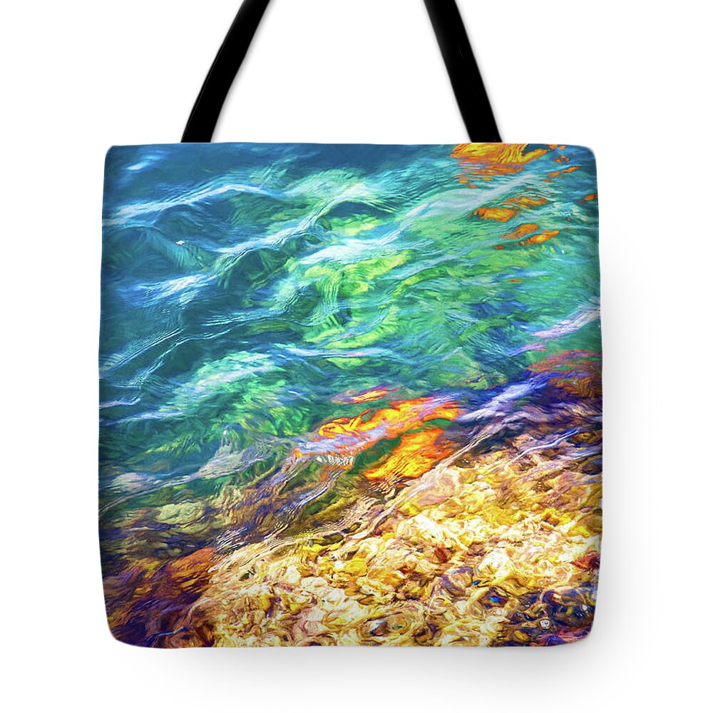 Catalina Tote Bag featuring the photograph Catalina Shore with Garibaldi Reflections by Roslyn Wilkins