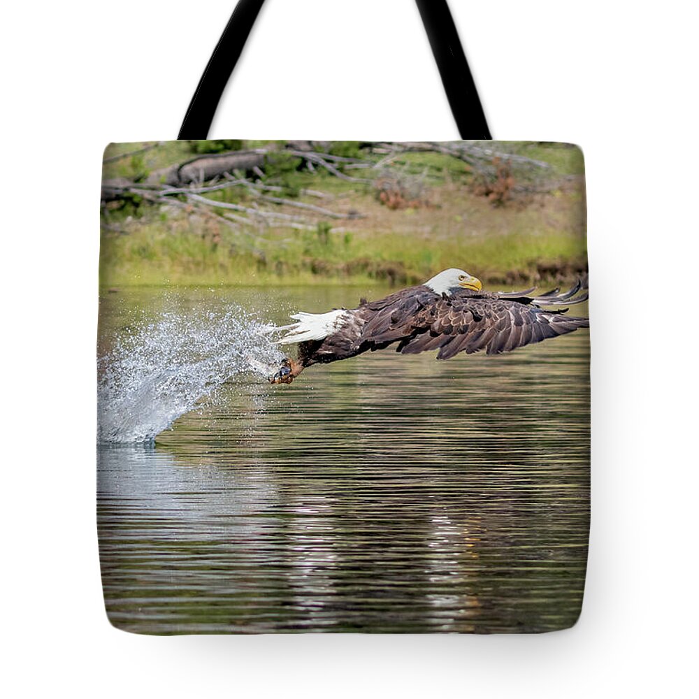 Bald Eagle Tote Bag featuring the photograph Fly Fishing by Randy Robbins
