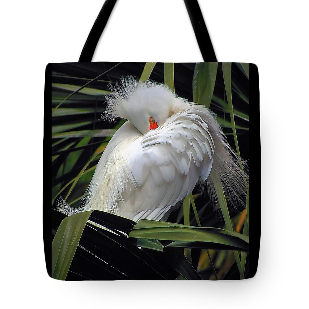 Egret Tote Bag featuring the photograph Catching the Red Eye by Michael Allard