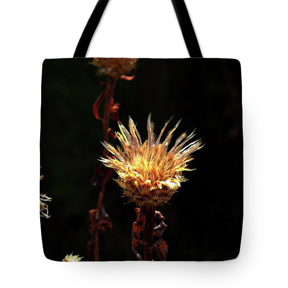 Palo Duro Canyon Tote Bag featuring the photograph Catcus Blooms by George Taylor