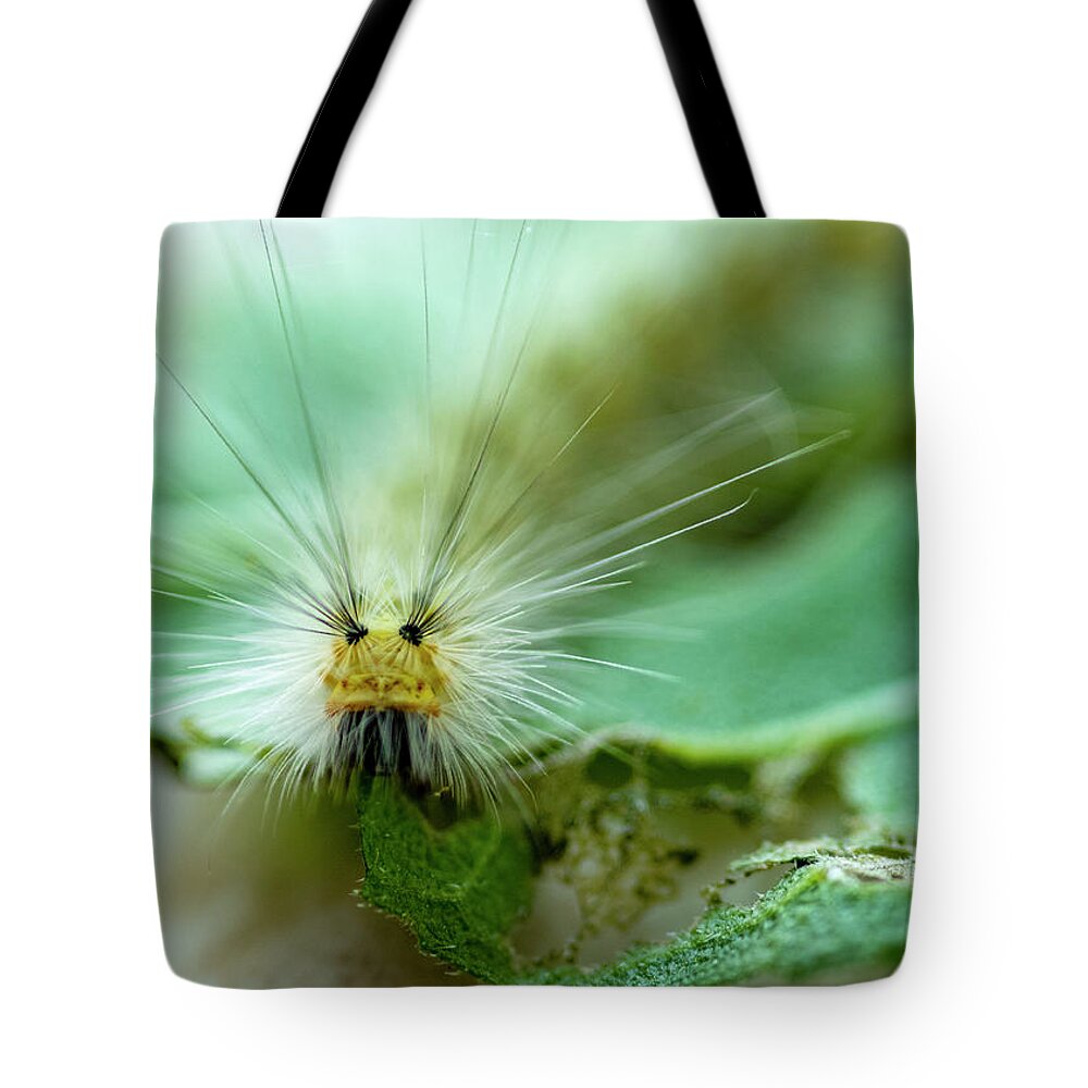 Macro Tote Bag featuring the photograph Caterpillar Macro by Cathy Kovarik