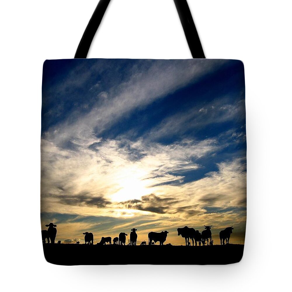 Animal Themes Tote Bag featuring the photograph Cattle Gathering On Field At Sunset by © 2009 By Joao Paglione - All Rights Reserved Worldwide