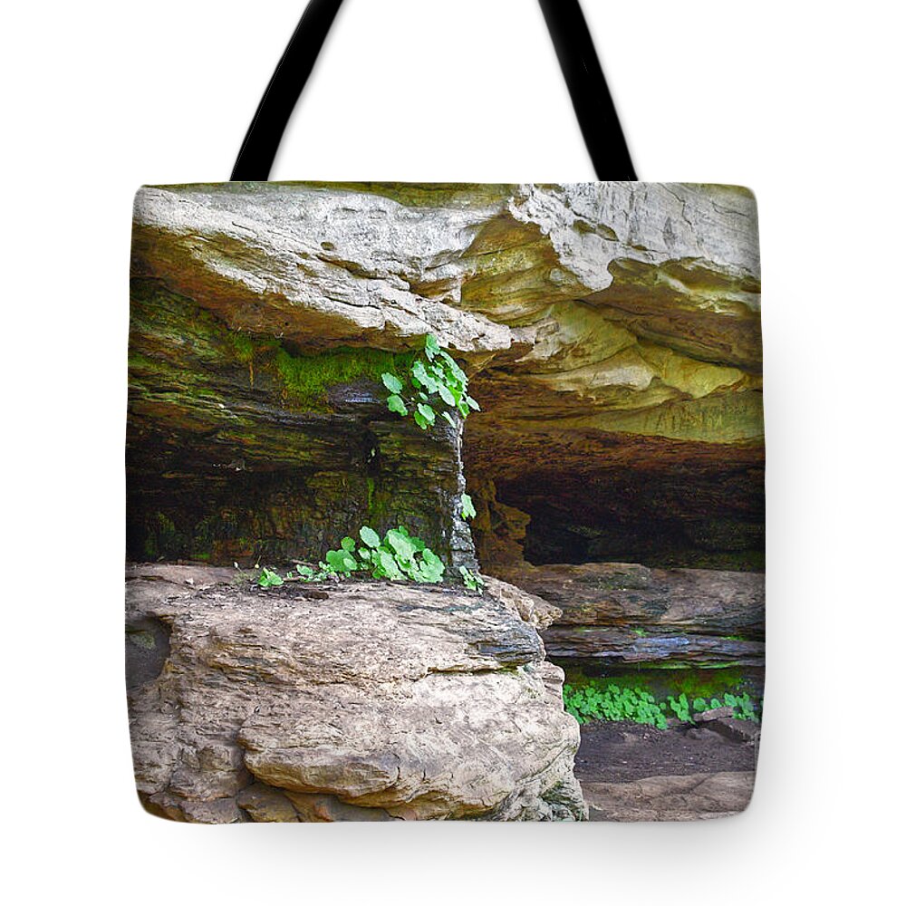 Tennessee Tote Bag featuring the photograph Caves In A Cliff by Phil Perkins
