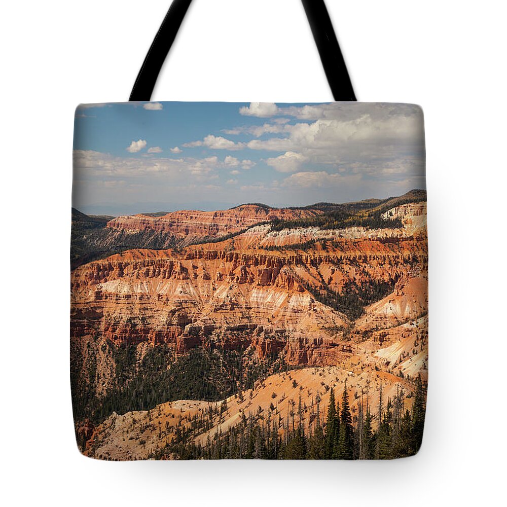 Scenics Tote Bag featuring the photograph Cedar Breaks National Monument, Utah by Karen Desjardin
